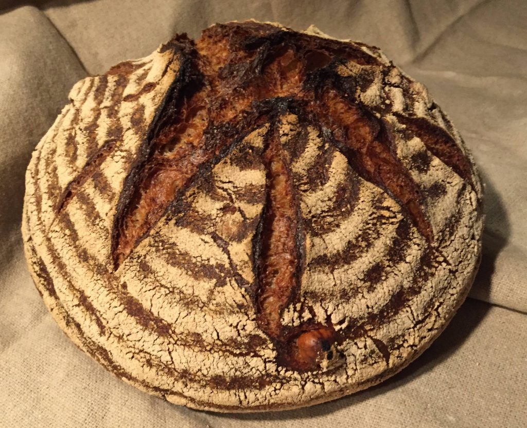 Dinkel-Nussfee - das Haselnuss-Kaffee-Brot - BmF - Backen mit Freunden